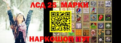 шишки Бузулук